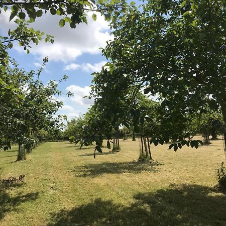 Vakantiehuizen 'T Centrum Oostkapelle Eksteriør bilde