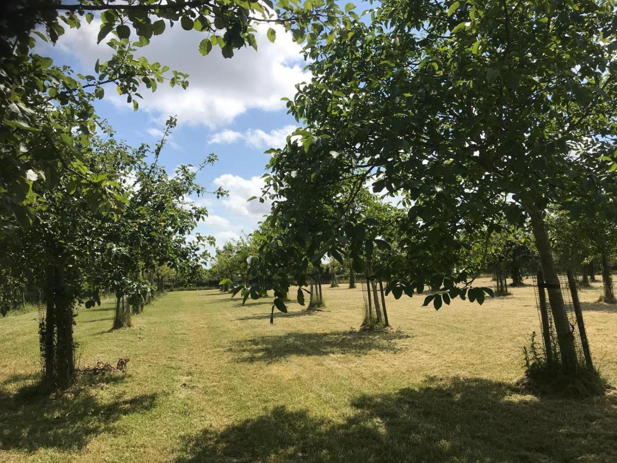 Vakantiehuizen 'T Centrum Oostkapelle Eksteriør bilde